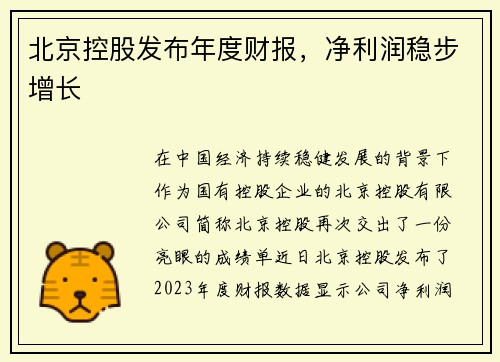 北京控股发布年度财报，净利润稳步增长