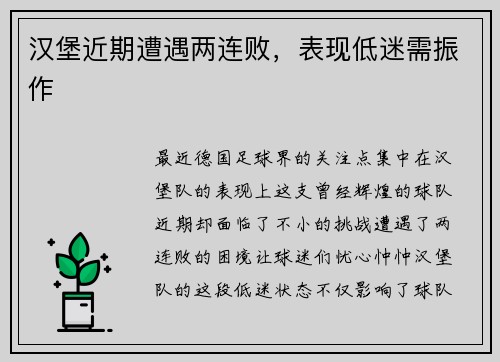 汉堡近期遭遇两连败，表现低迷需振作