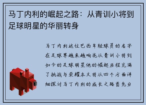 马丁内利的崛起之路：从青训小将到足球明星的华丽转身