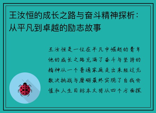 王汝恒的成长之路与奋斗精神探析：从平凡到卓越的励志故事
